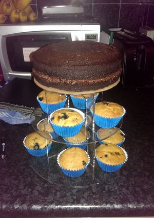 A picture of Sophie's vegan lemon & blueberry cupcakes.