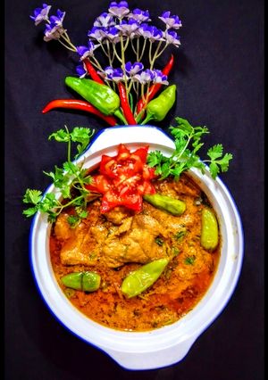 A picture of Beef Yogurt Pasanda.