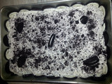 Oreo ice cream cake