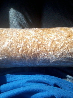 A picture of Holiday pumpkin roll.
