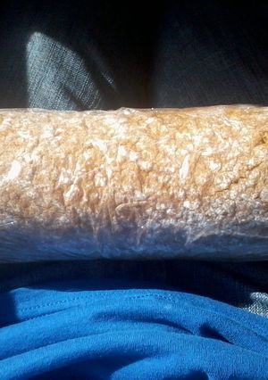 A picture of Holiday pumpkin roll.