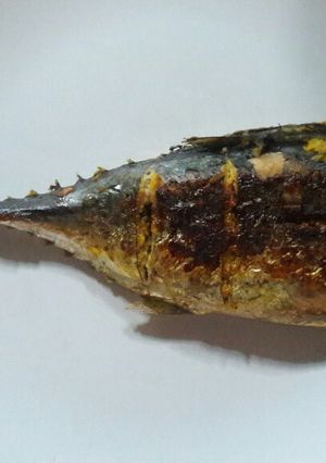 Foto resep Tuna Bakar