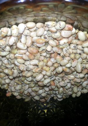 A picture of roasted soy nuts.