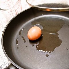A picture of Egg Boiled in 100 ml of Water.