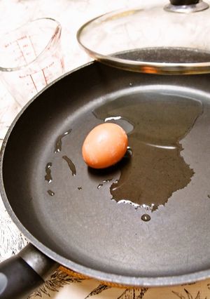 A picture of Egg Boiled in 100 ml of Water.