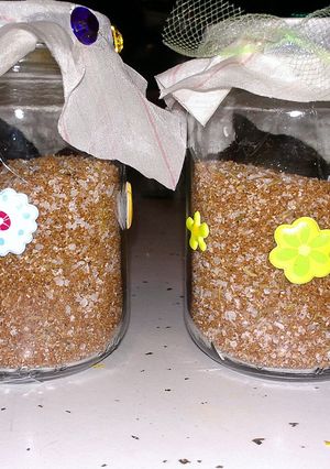 A picture of Tys BBQ rub, can be made as gifts.
