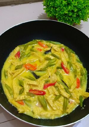 Foto resep Sayur Tempe Buncis Santan