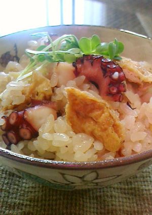 A picture of Easy and Delicious Octopus Rice.