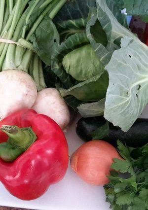A picture of Basically basic veggie soup.