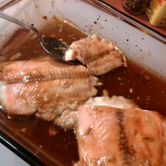 A picture of Mo's salmon.