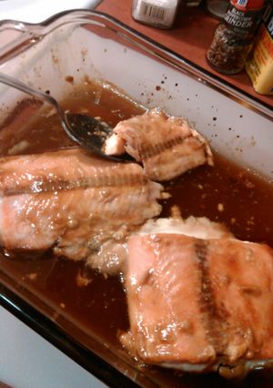 A picture of Mo's salmon.