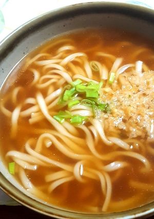 A picture of Basic Kake Udon.