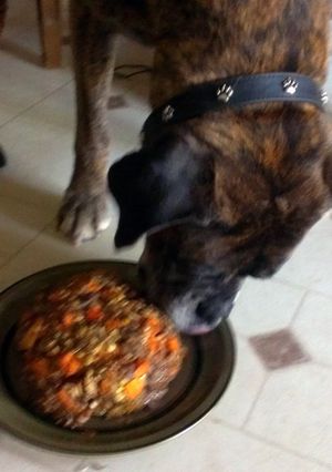 A picture of Doggie Birthday Cake.
