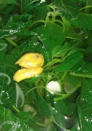 Foto resep Sayur Bayam Kuah Bening