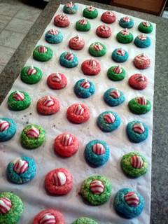 A picture of Candy Cane Blossoms.