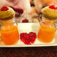 A picture of Paani Puri shots.