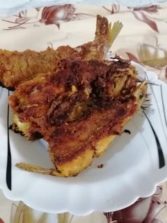 عکسی از دستور ماهی سوخاری