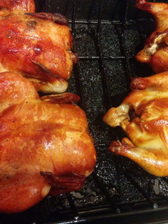 A picture of Brown sugar game hens.