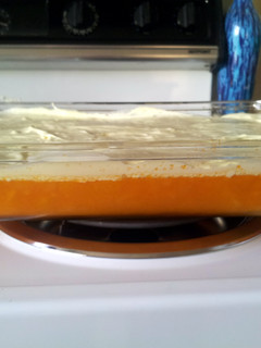 A picture of Fruity Orange Jello.