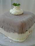 Torta helada Casata dos sabores