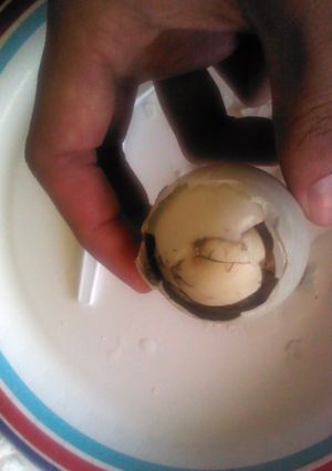 A picture of Duck Balut (Partially Developed Duck Fetus inside the Egg).