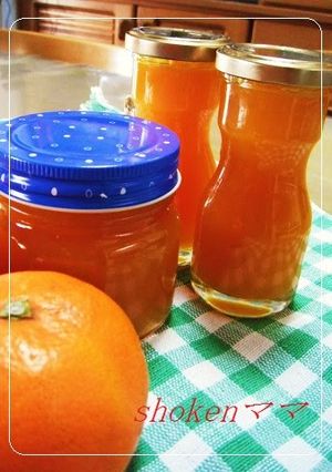 A picture of Mandarin Orange Jam.
