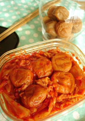 A picture of Energy for the Day * Umeboshi Kimchi.