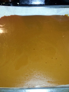A picture of Caramel.