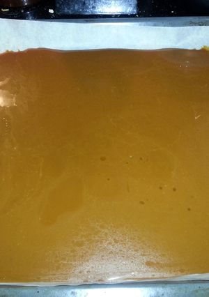 A picture of Caramel.