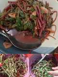 Tumis krokot