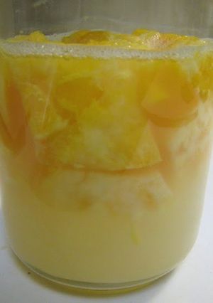 A picture of Fruity Natural Yeast. Orange Yeast.