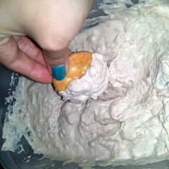 A picture of Tuna dip.