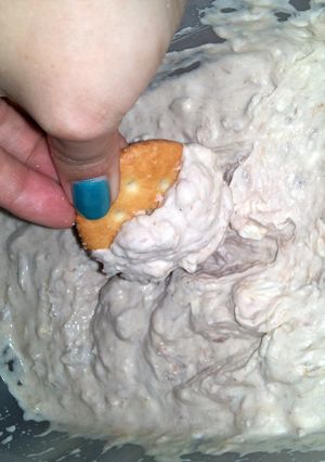 A picture of Tuna dip.
