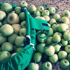 A picture of Homemade Apple sauce.