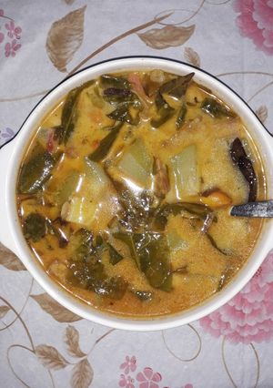 Foto resep Sayur lodeh berbahan sayur asam