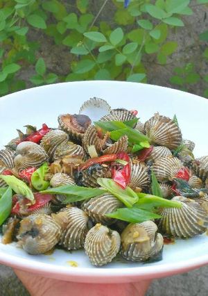 Foto resep Tumis Kerang Dara