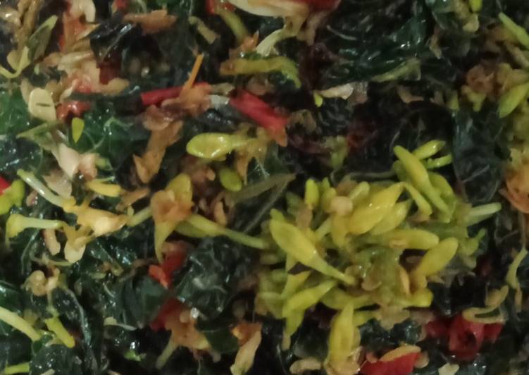 Resep Bumbu Dapur Tumis Bunga dan Daun Pepaya