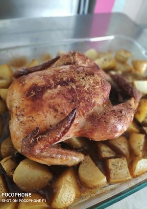 Una foto de Pollo a la cerveza
