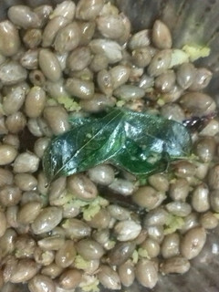 நிலக்கடலை சுண்டல் (Nilakadalai sundal recipe in tamil) செய்முறை முக்கிய புகைப்படம்