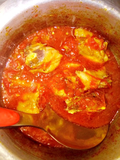 A picture of Gravy chicken.