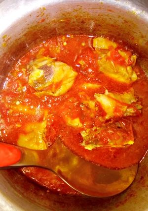 A picture of Gravy chicken.