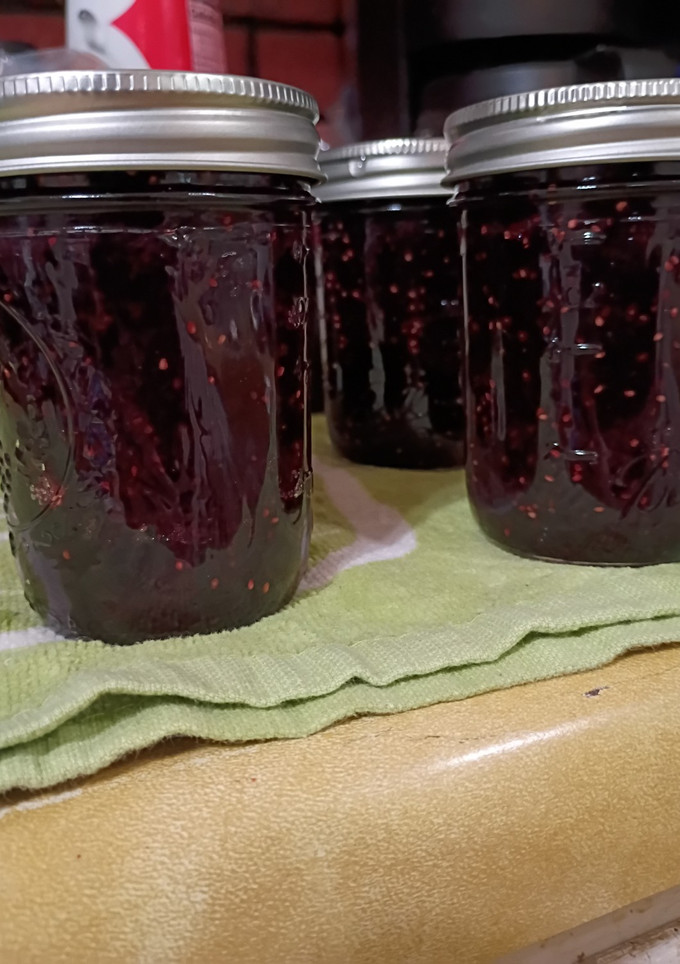 A picture of Sugar Free Mulberry-Blueberry Jam.