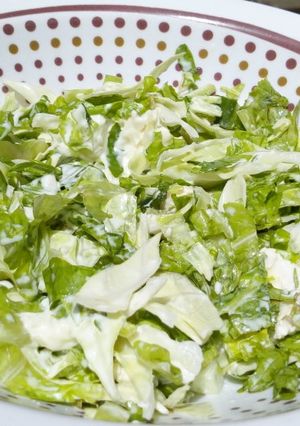 A picture of Tofuu green salad.