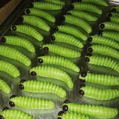 Kue Ulat Daun Bayam (cookies ulat daun) রেসিপির প্রধান ছবি