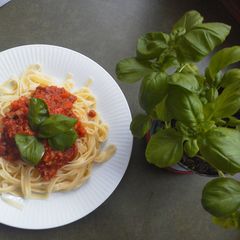Tagliatelle al Ragu A picture of Tagliatelle al Ragu.
