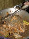 Rica_rica terong bulus