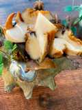 Roasted Turban Shell