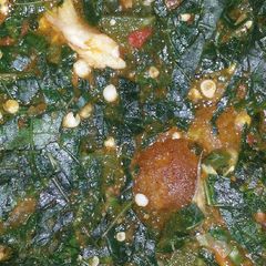 A picture of Okra soup.