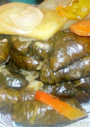 A picture of Stuffed Grape Leaves with Pomegranate Molasses.