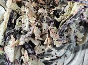 Una foto de repollo blanco y repollo morado ensalada